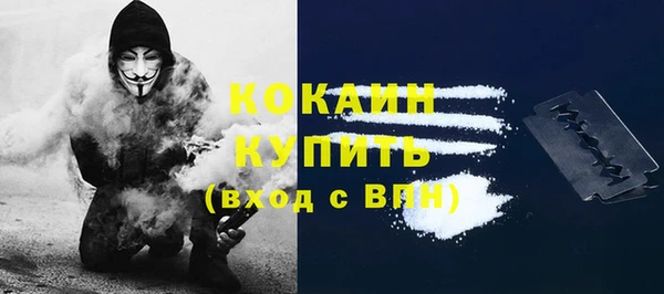 стаф Кукмор