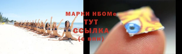 стаф Кукмор