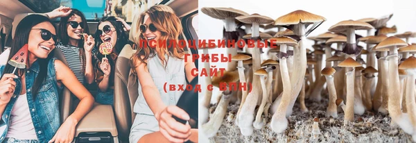 стаф Кукмор