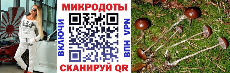 hydra зеркало  купить наркотики сайты  Называевск  Псилоцибиновые грибы Psilocybe 